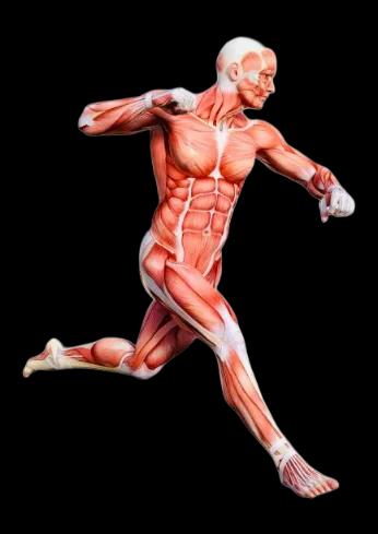 Fighter Injury Prevention