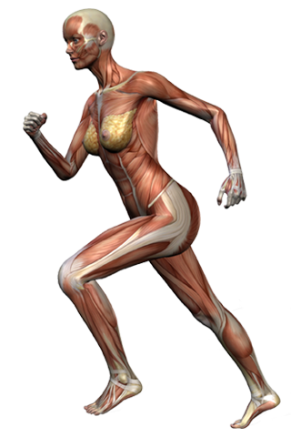 Female Injuries
