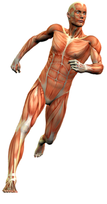 Male Injuries