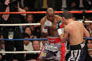 Effective Boxing Stance