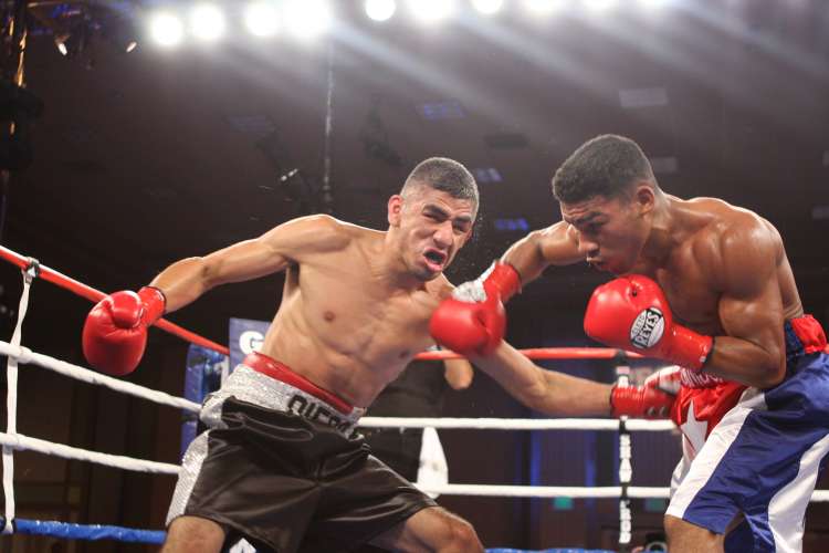 Punch Speed