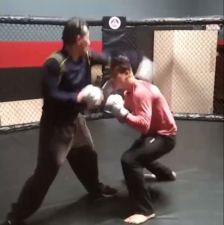 MMA