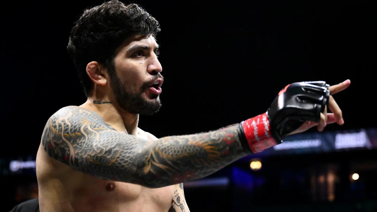 UFC star Arman Tsarukyan brawls with Conor McGregor ally over Khamzat Chimaev insult