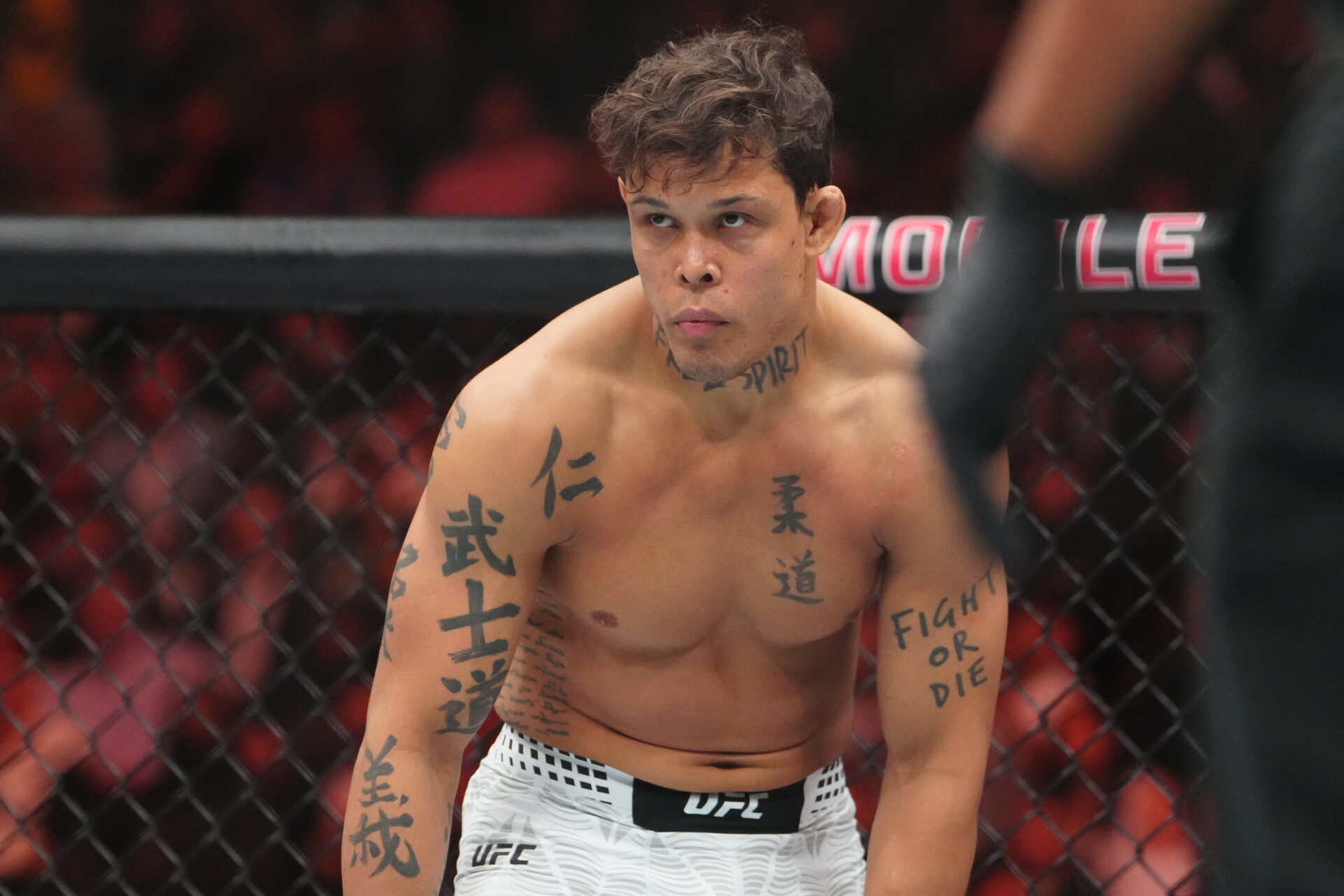 MMA: UFC 326 - Borralho vs Ridder