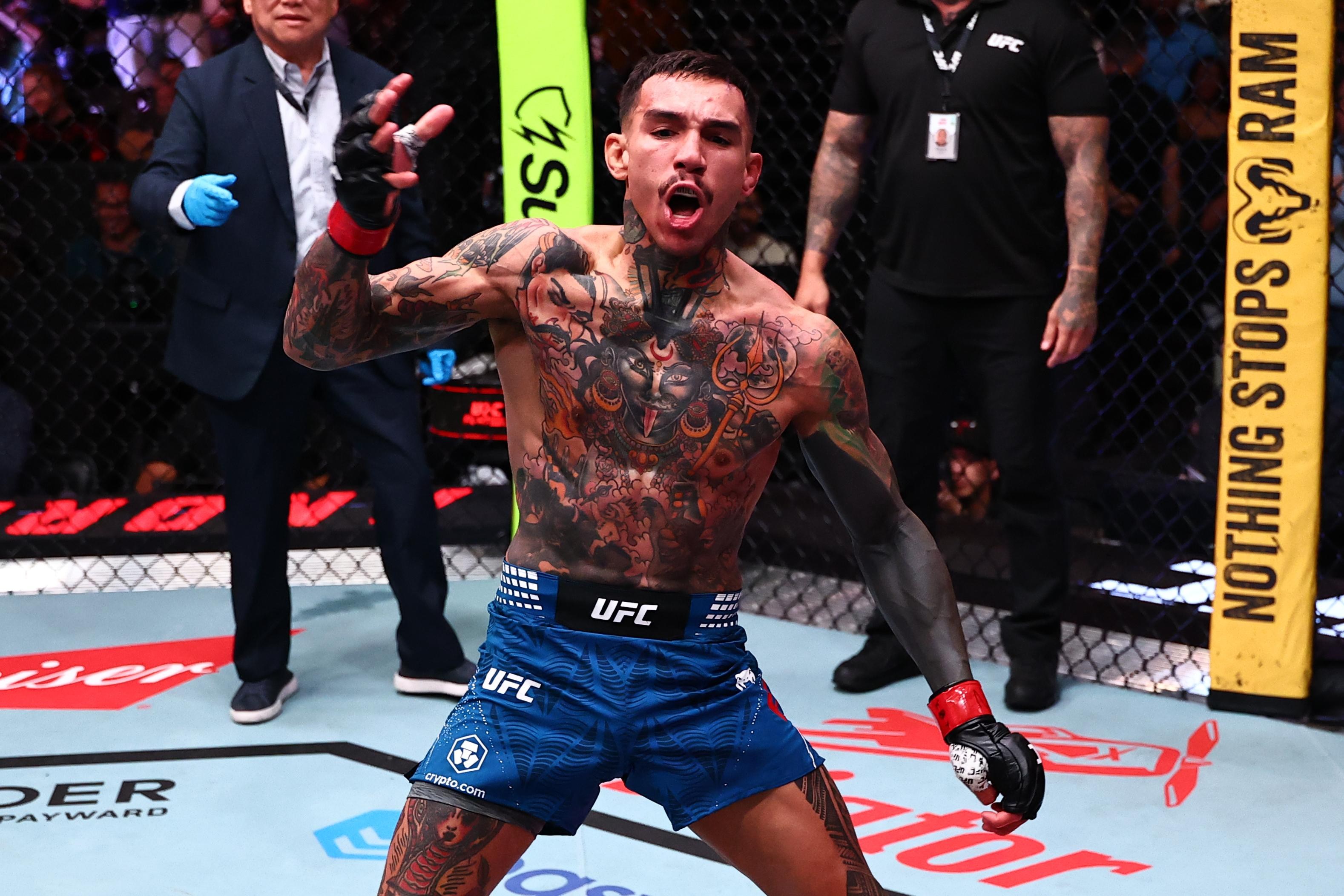 Andre Fili