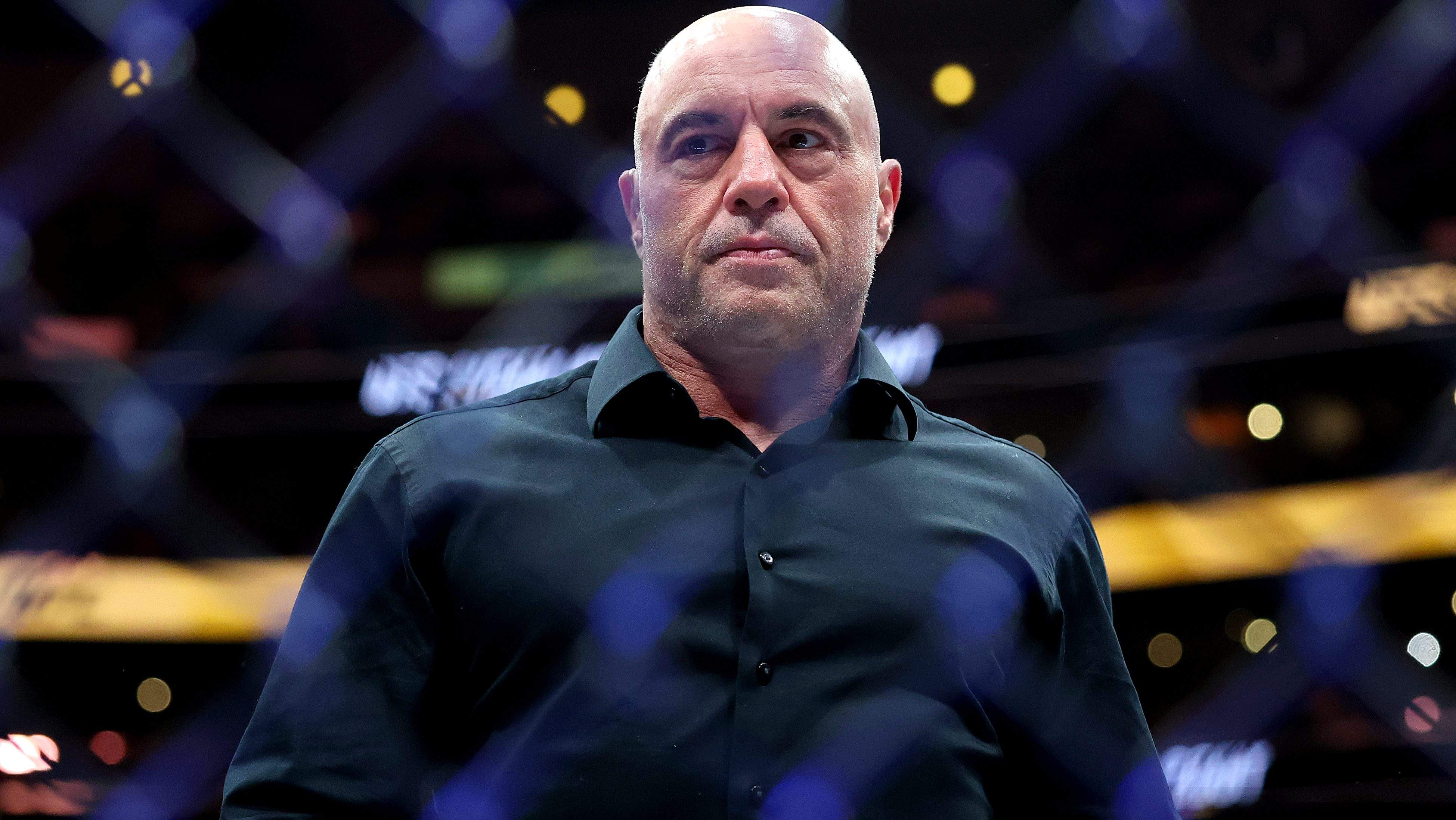 Joe Rogan UFC Farid Basharat