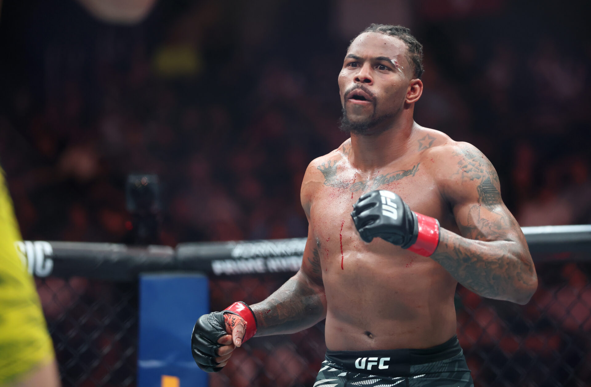 MMA: UFC 316 - Williams vs Gustafsson