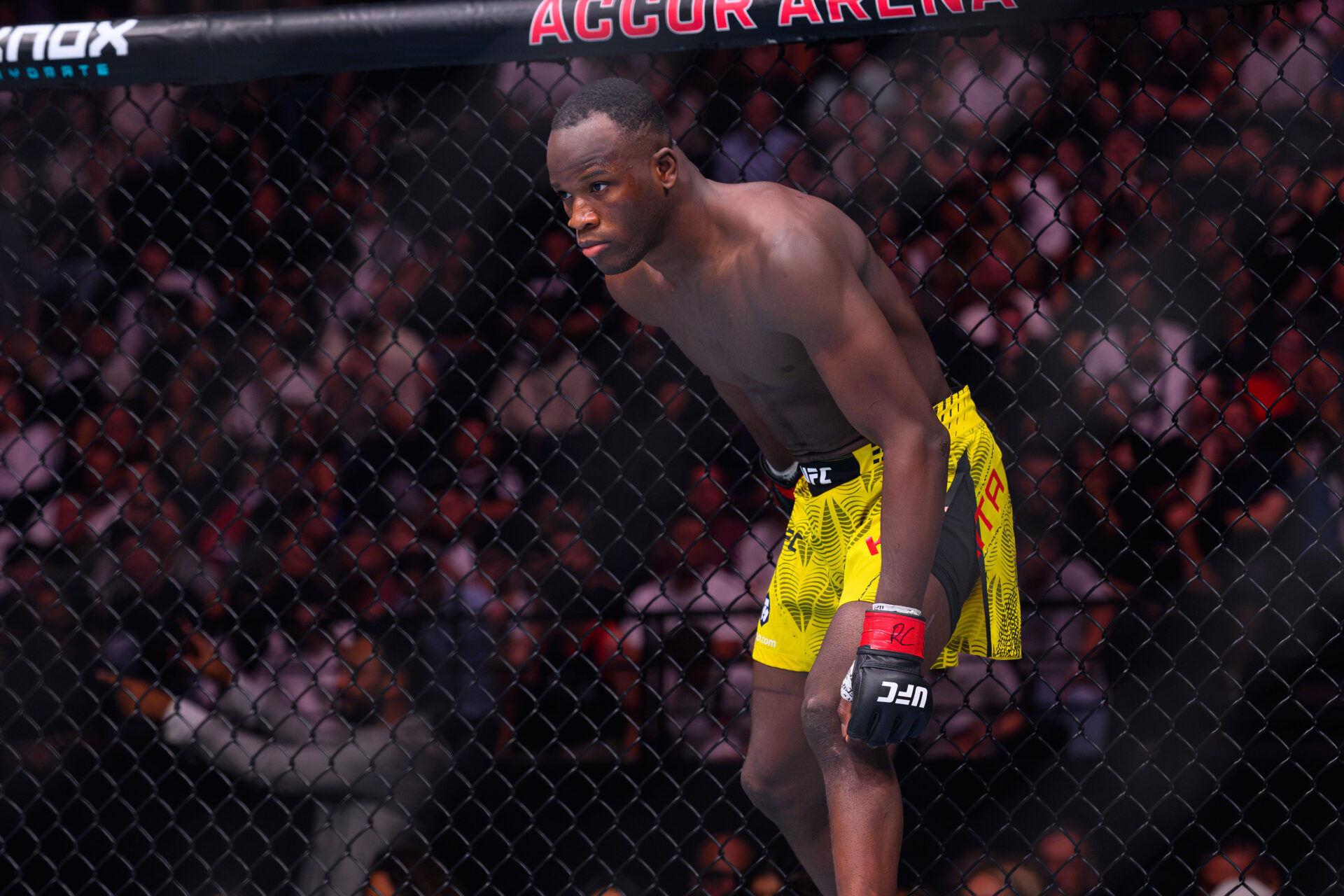 MMA: UFC Fight Night - Paris