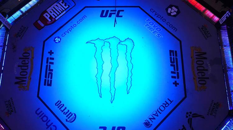 Empty UFC Octagon.