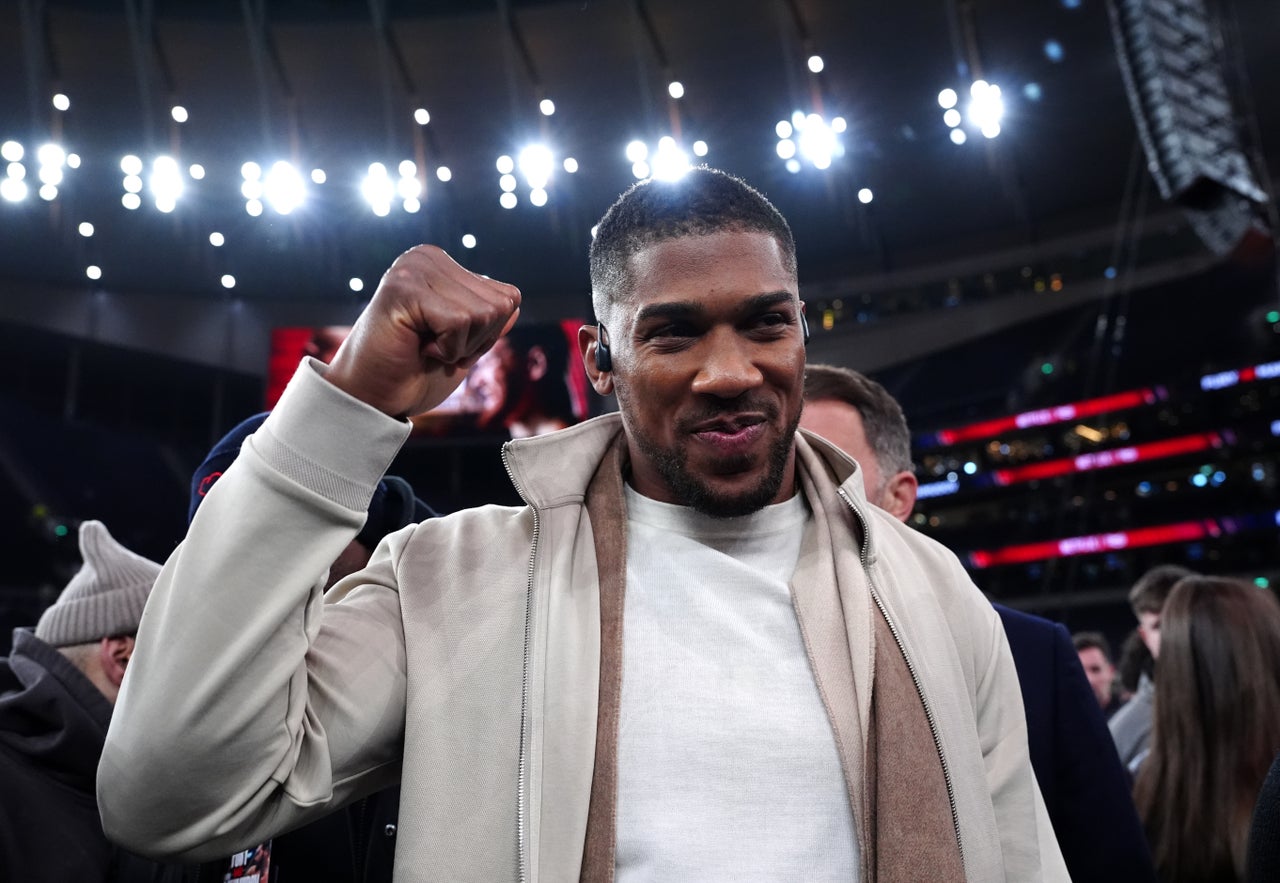 Anthony Joshua was branded a ‘yellow-bellied coward’ by rival Fury (PA Wire)