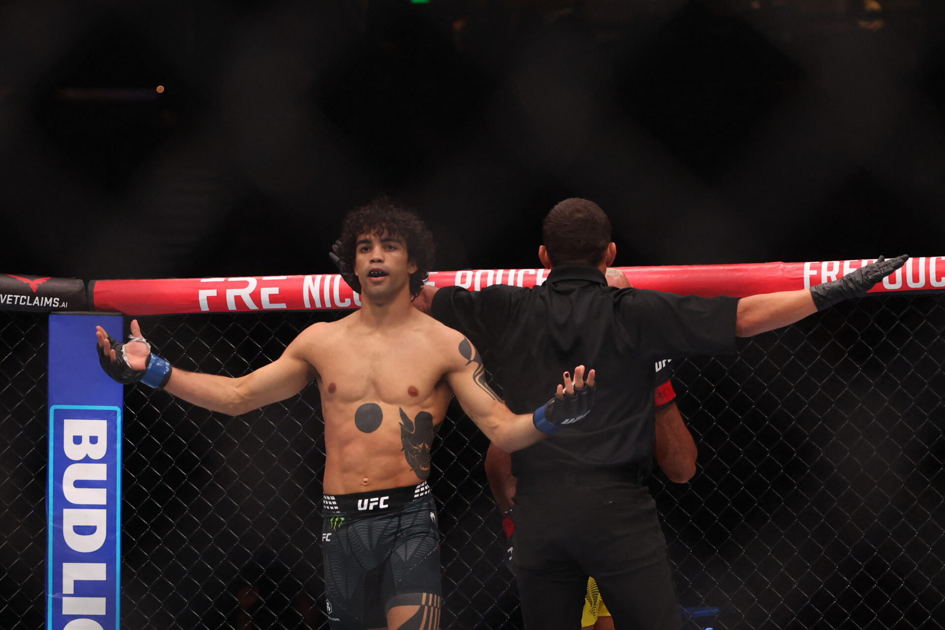MMA: UFC 332