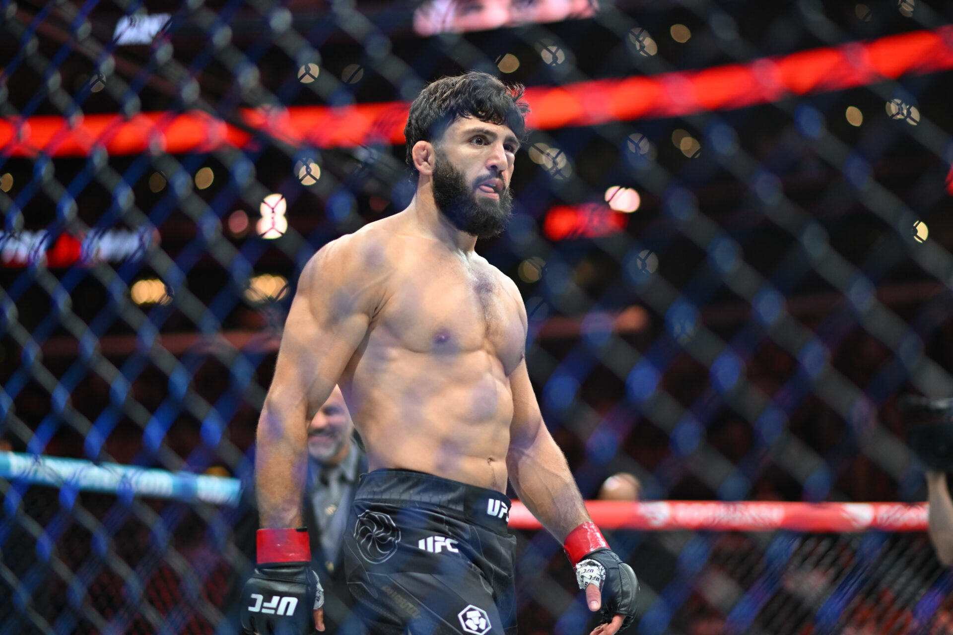 MMA: UFC 331