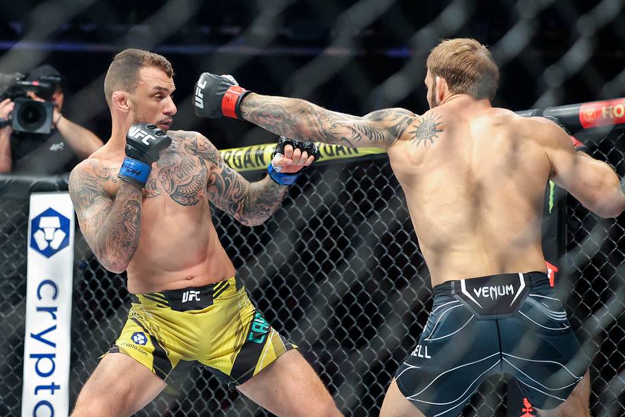 Brad Riddell (red gloves) and Renato Moicano (blue gloves) during UFC 281 at Madison Square Garden.