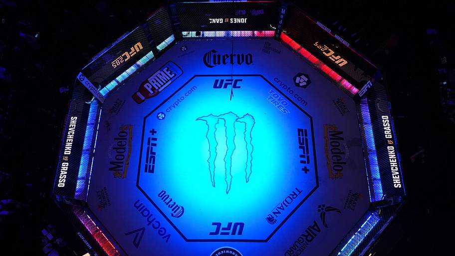 Empty UFC Octagon.