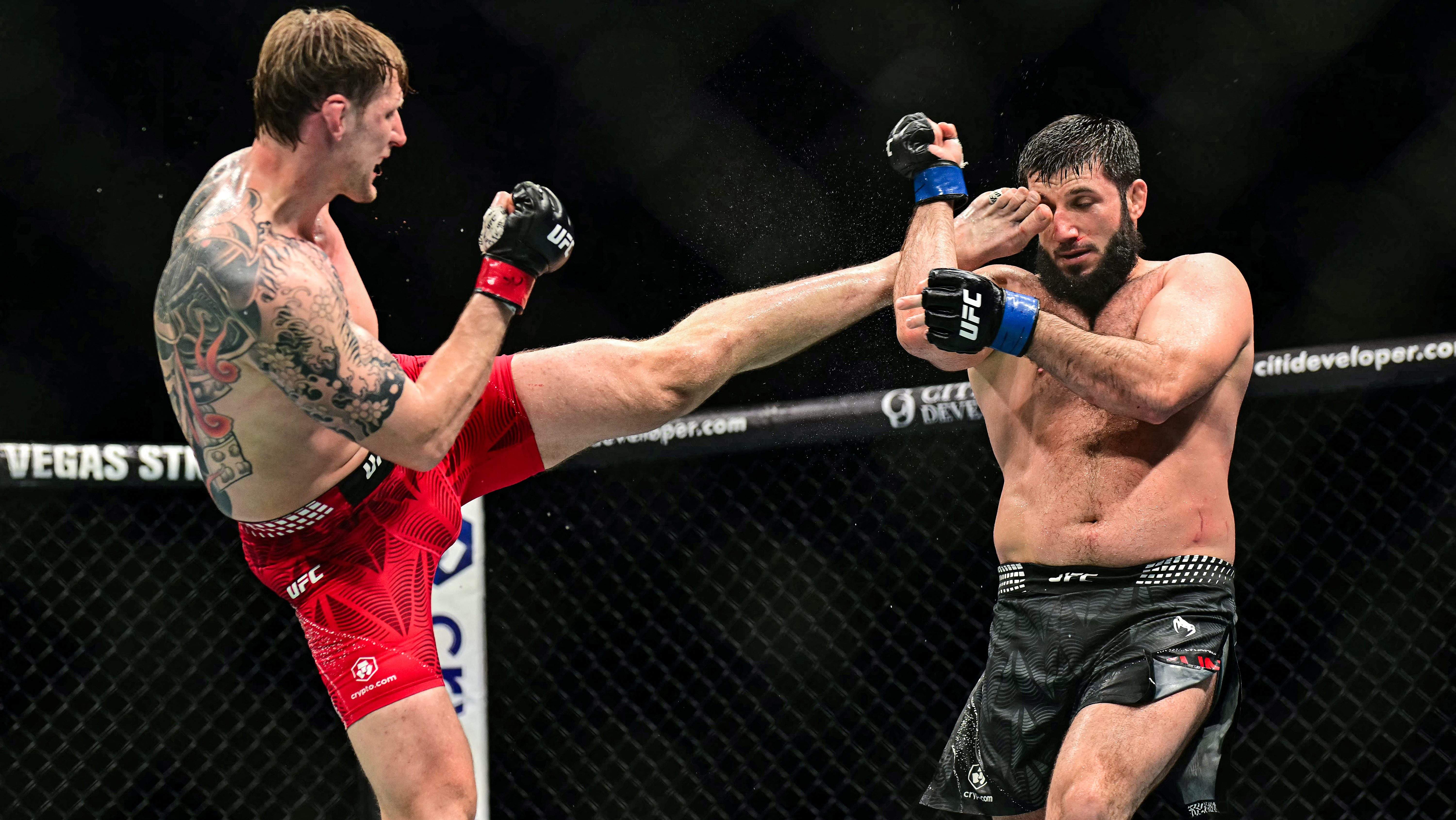 Dana White Alexander Volkov UFC 333