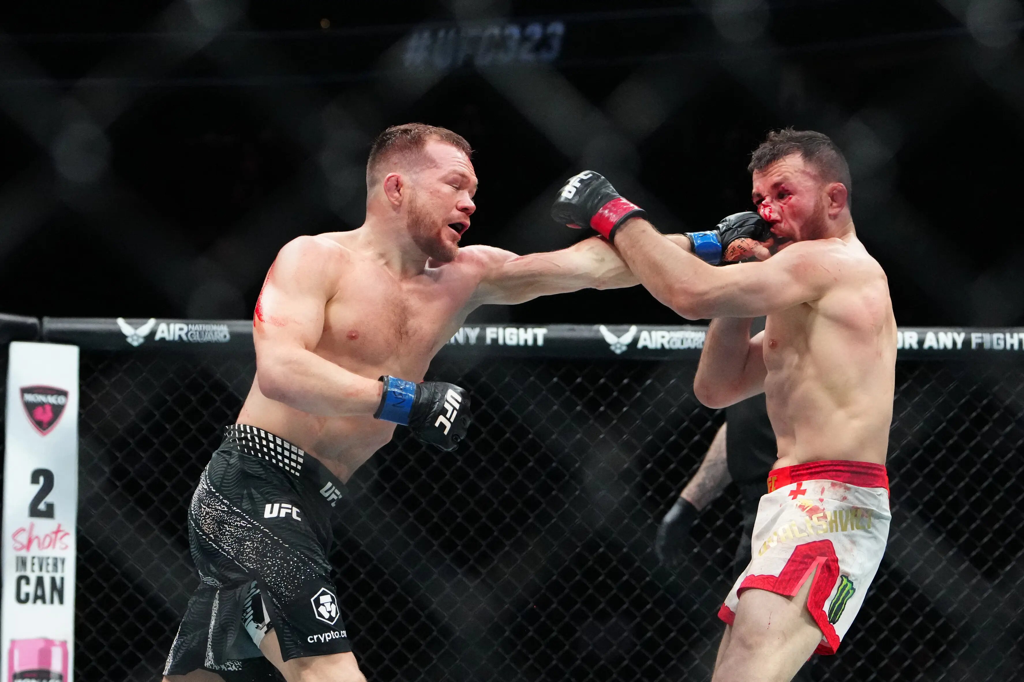 Merab Dvalishvili and Petr Yan at UFC 323