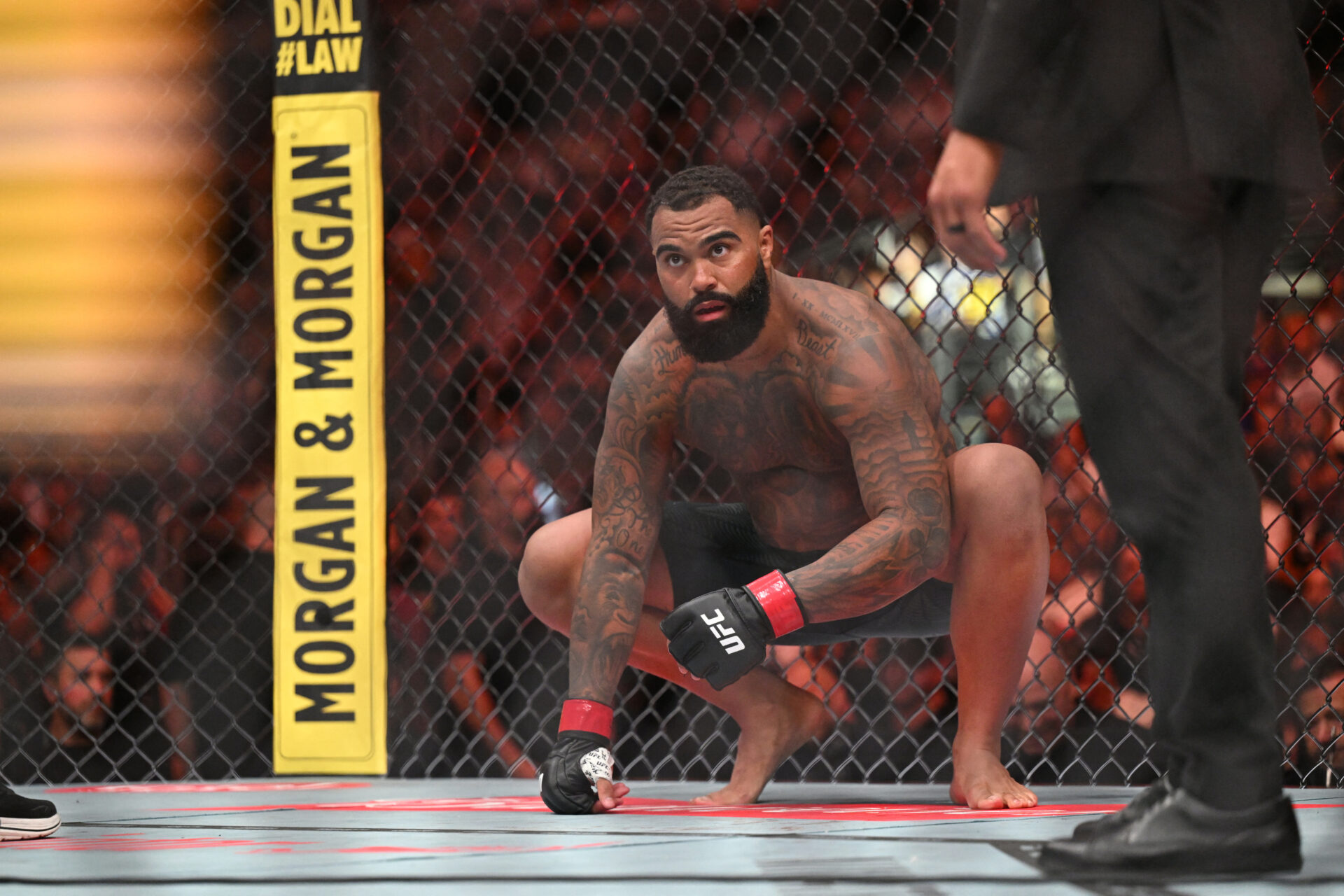 MMA: UFC 331