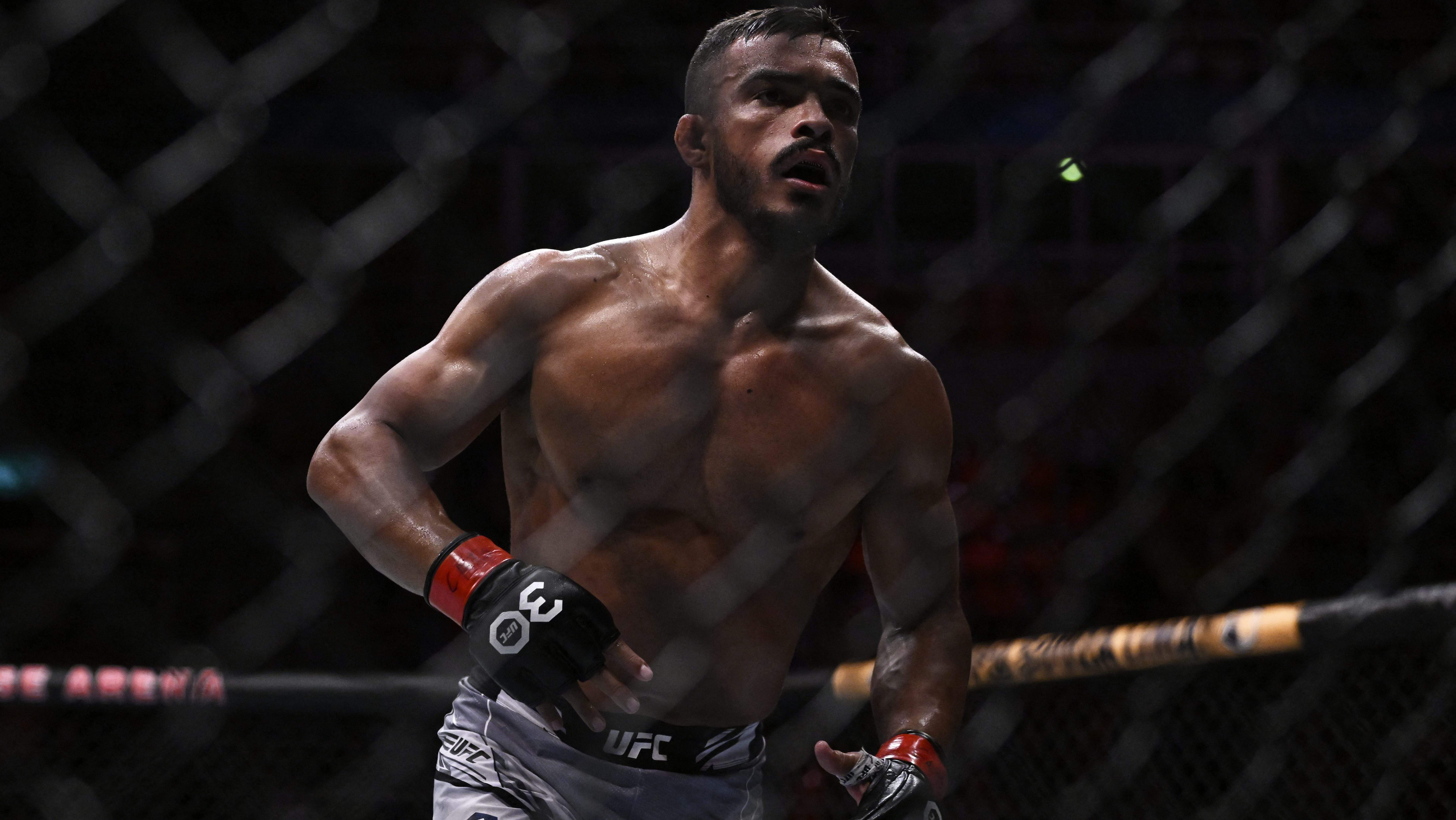 Ismael Bonfim UFC
