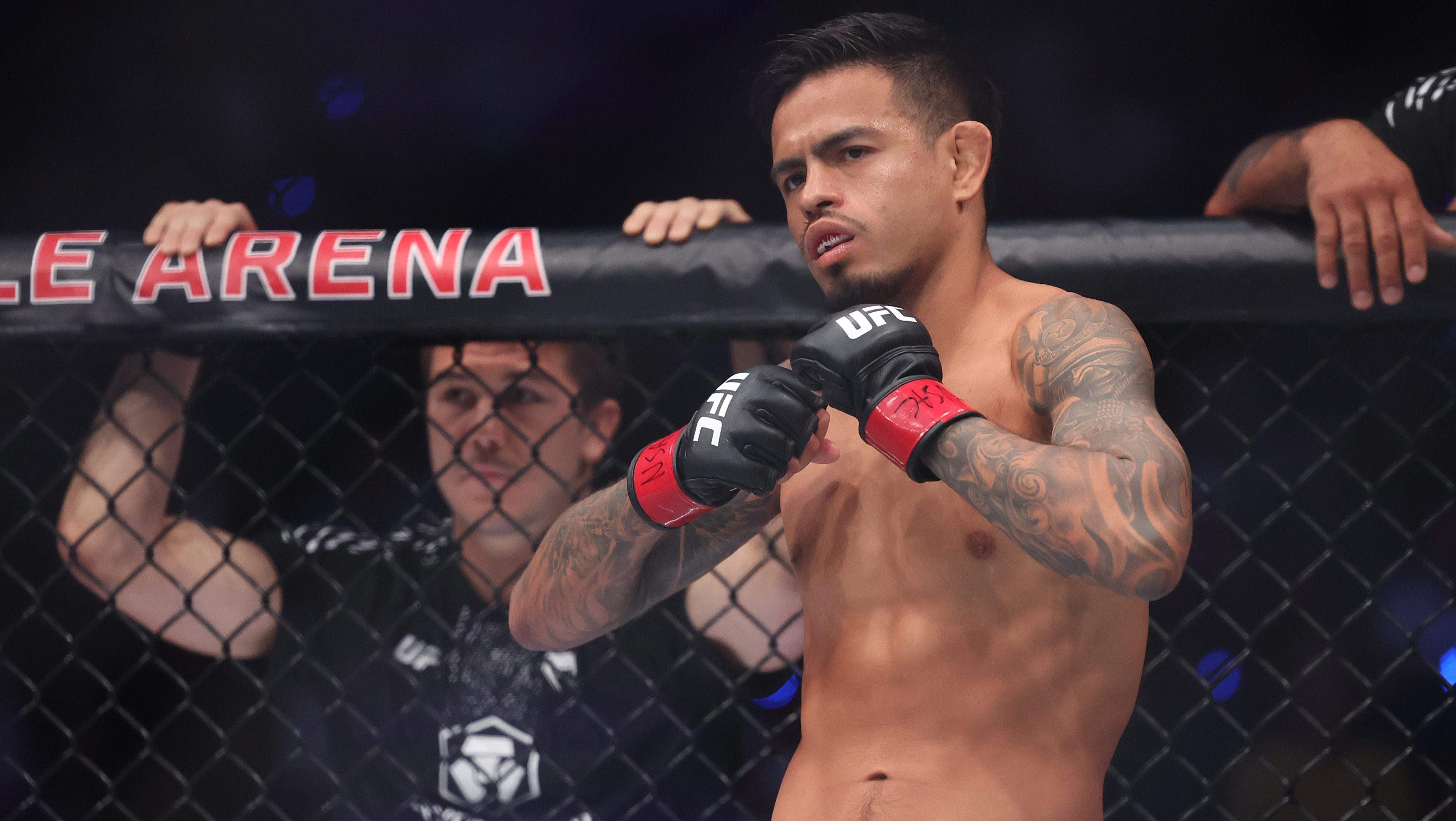 Brandon Royval UFC 331