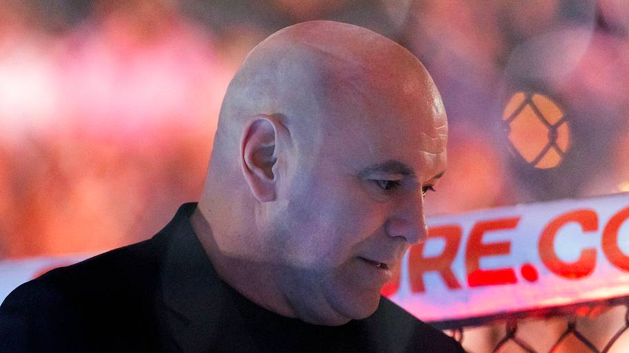 UFC 334 Loses