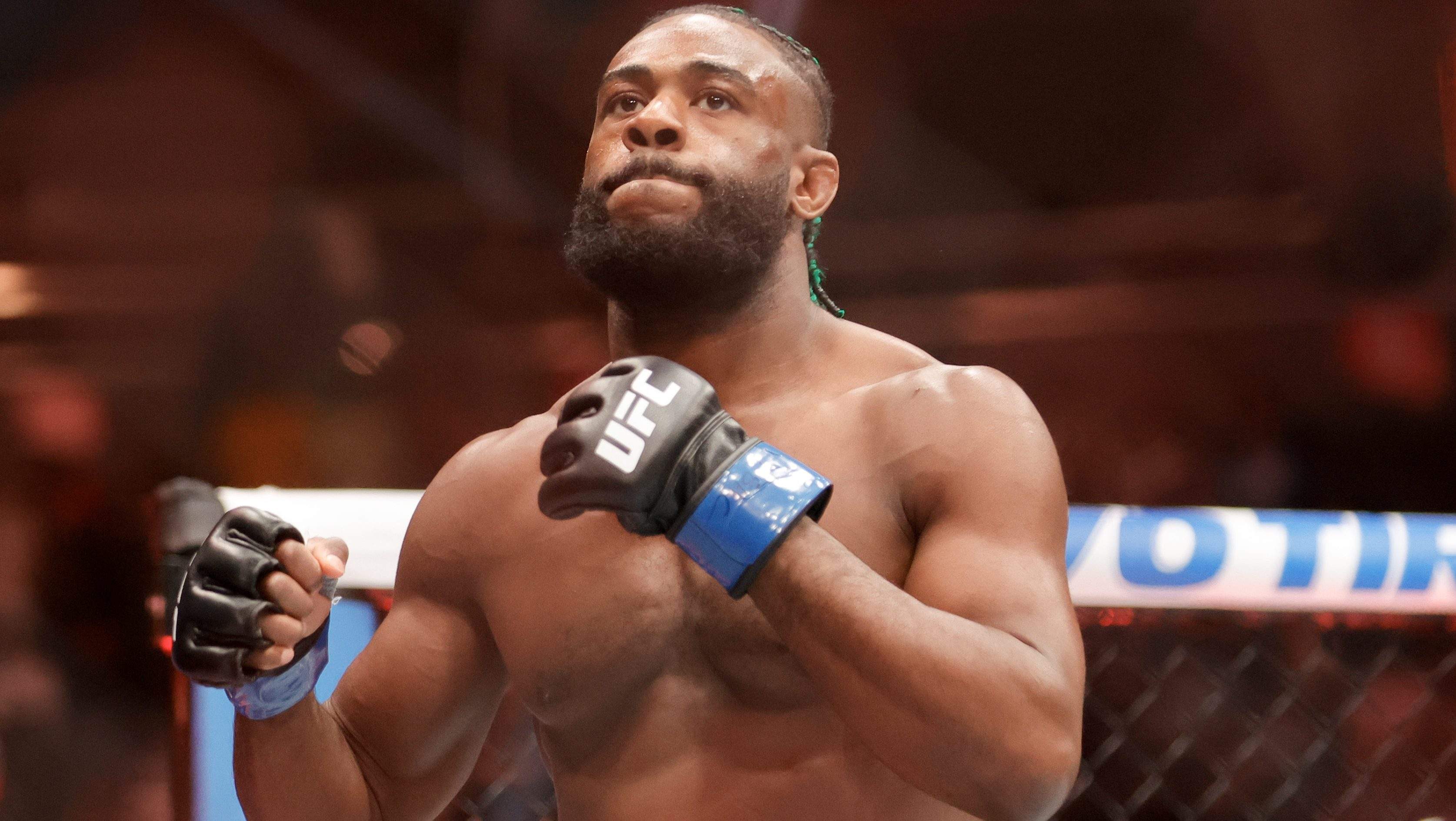 Aljamain Sterling Jean Silva