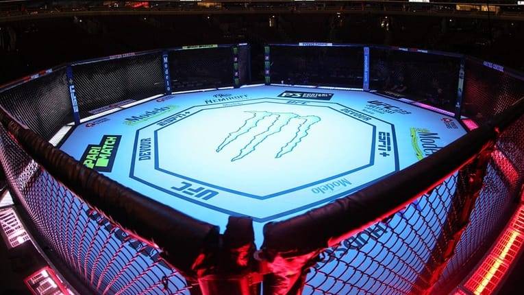 Empty UFC Octagon.